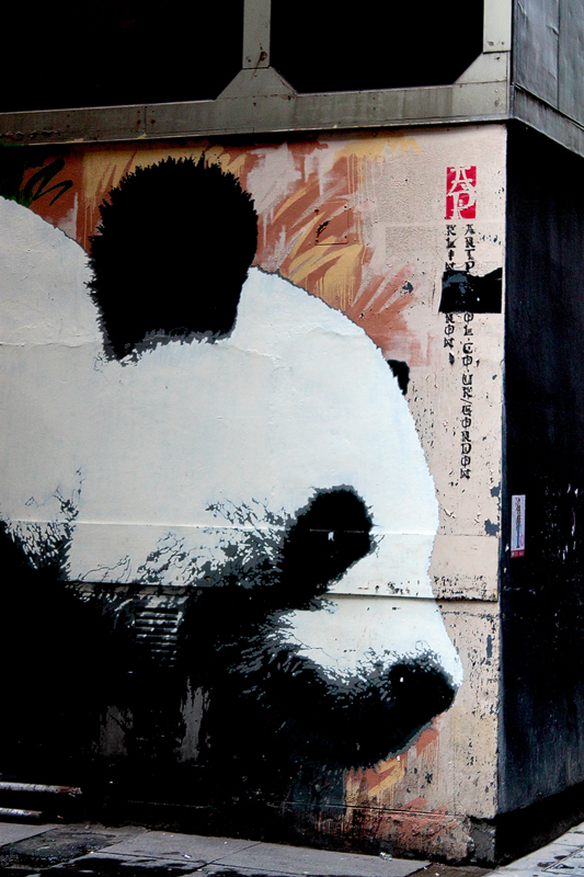 Giant Panda Glasgow